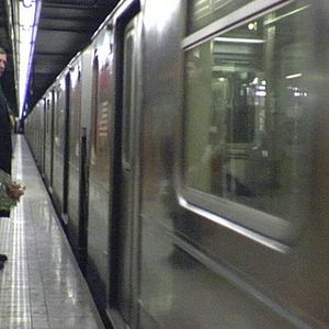 Bilder Looking for Kitty