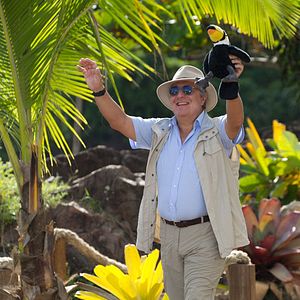 Bilder Ab in den Dschungel