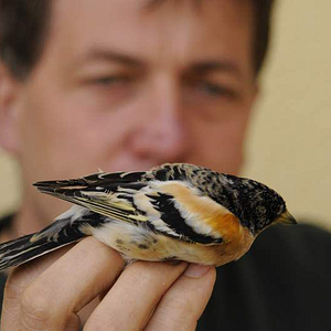Bilder Birds & People - Ganz verrückt auf Vögel