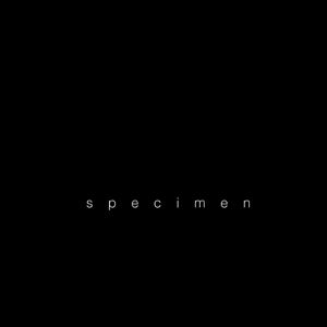 Bilder Specimen
