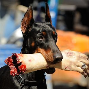 Bilder Schwarzach 23 - Und die Hand des Todes