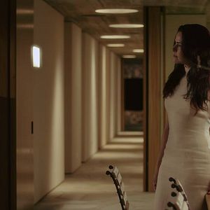 Bilder A Floresta Que Se Move