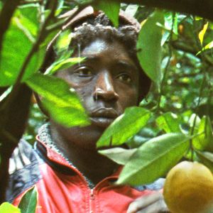 Bilder Koudous Seihon