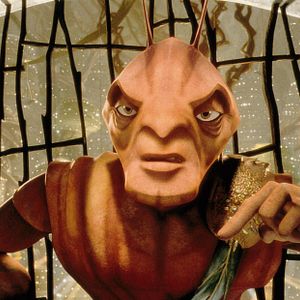 Bilder Antz – Was krabbelt da?