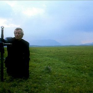 Bilder Der Tag des Falken