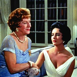 Bilder Die Katze auf dem heißen Blechdach