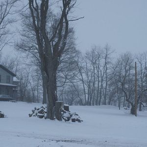 Bilder We Are Still Here - Haus des Grauens