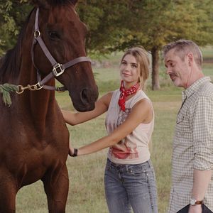 Bilder Frei wie der Wind