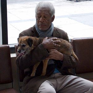 Bilder Morgan Freeman