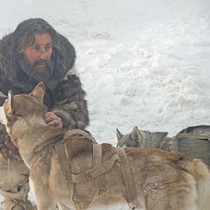 Bilder Nobody Wants The Night