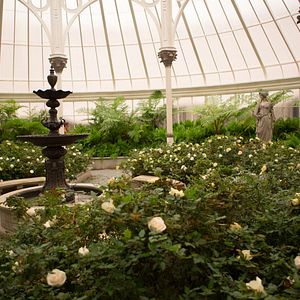 Bilder Die Tribute von Panem 4 - Mockingjay Teil 2