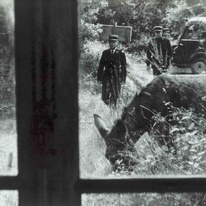 Bilder Zum Beispiel Balthasar