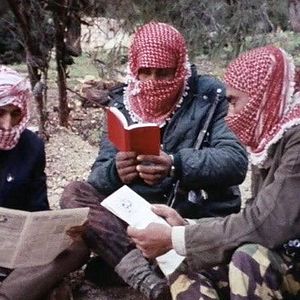 Bilder Hier und anderswo