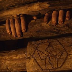 Bilder The Fostering