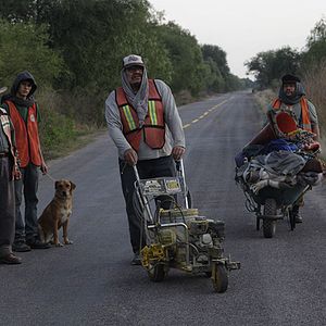 Bilder La Delgada Línea Amarilla