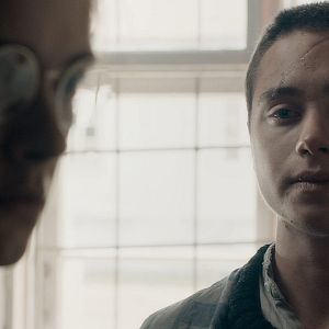 Bilder Wildauge - The Midwife