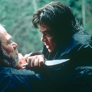 Bilder Benicio Del Toro