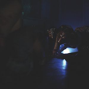 Bilder Lake Fear - See der Angst