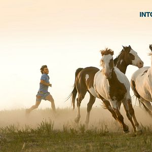 Bilder Into the Wild