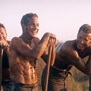 Bilder Der Unbeugsame