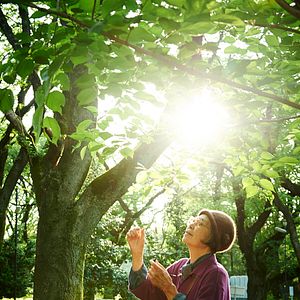 Bilder Kirschblüten und rote Bohnen