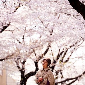 Bilder Kirschblüten und rote Bohnen