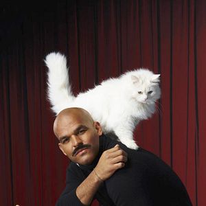 Bilder Amaury Nolasco
