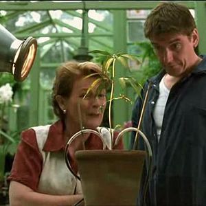 Bilder Brenda Blethyn