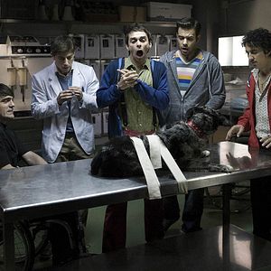 Bilder Fuga de cerebros 2