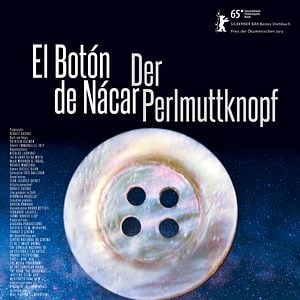 Bilder Der Perlmuttknopf