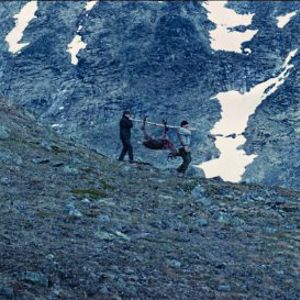 Bilder Å vende tilbake