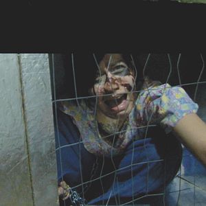 Bilder Houses Of Terror