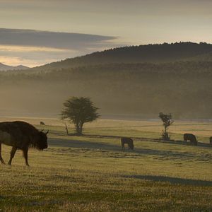 Bilder Unsere Wildnis