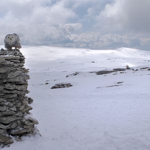 Bilder Unsere Wildnis