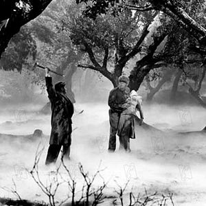 Bilder Der Wolfsmensch