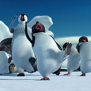 Bilder Happy Feet