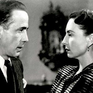 Bilder Die schwarze Natter