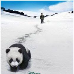 Bilder Xiong mao hui jia lu