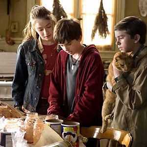 Bilder Die Geheimnisse der Spiderwicks