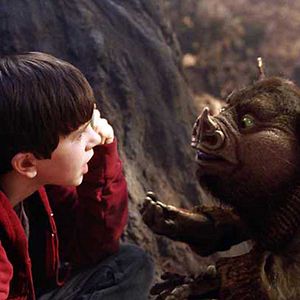 Bilder Die Geheimnisse der Spiderwicks