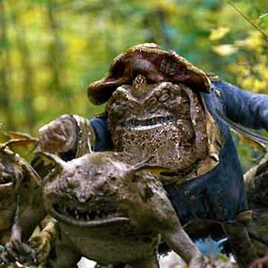 Bilder Die Geheimnisse der Spiderwicks