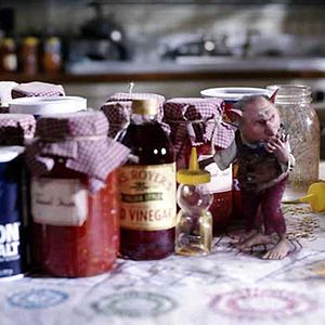 Bilder Die Geheimnisse der Spiderwicks