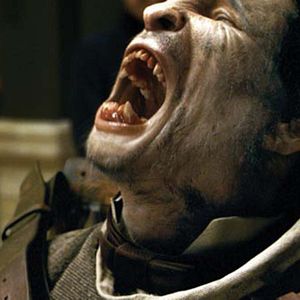 Bilder Benicio Del Toro