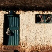 Bilder El Corral y el Viento