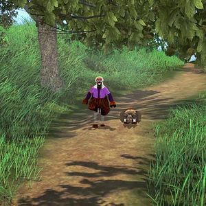 Bilder Wê, L’histoire du Masque Mendiant