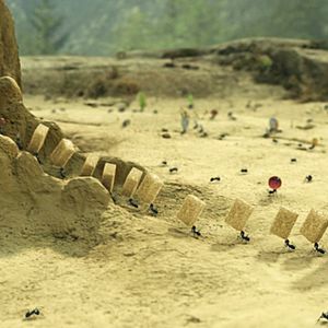 Bilder Die Winzlinge - Operation Zuckerdose