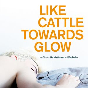 Bilder Like Cattle Towards Glow