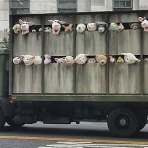 Bilder Banksy Does New York