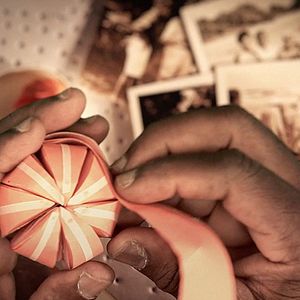 Bilder Un día vi 10.000 elefantes