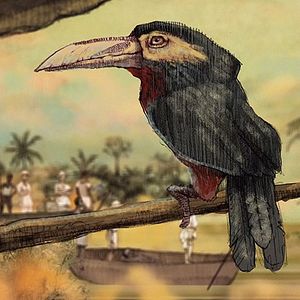 Bilder Un día vi 10.000 elefantes